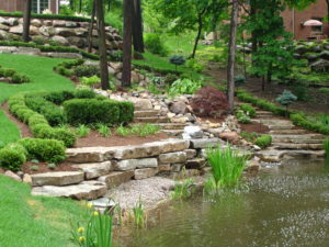 Landscape Design