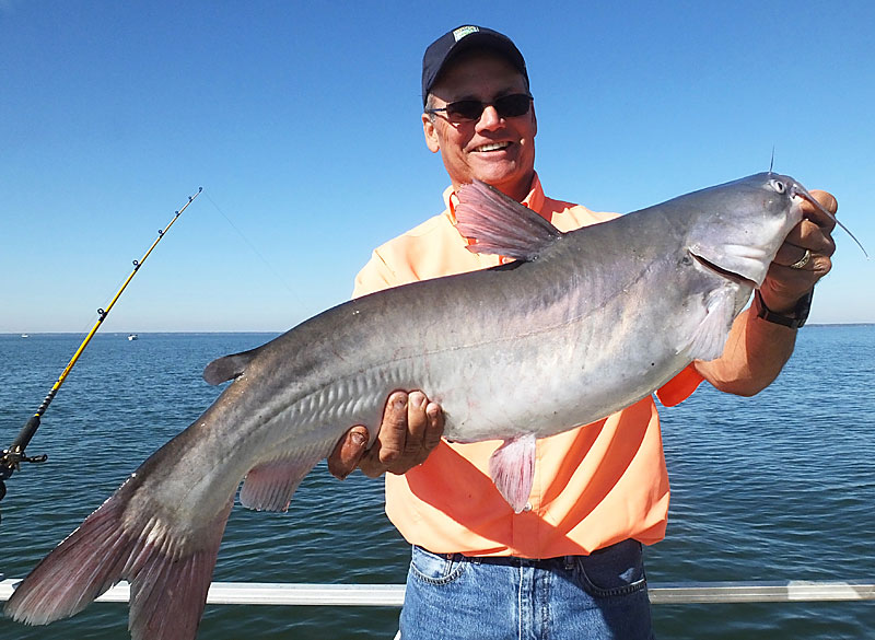 Galveston Bay fishing guide service