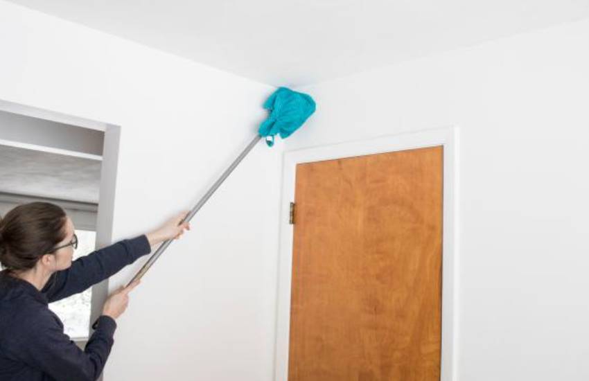 full house cleaning services