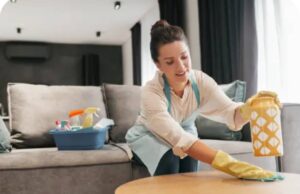 house cleaner service