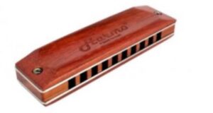 diatonic harmonica set